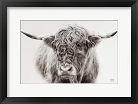 Highland in the Winter Fog BW Framed Print