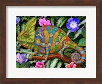 Veiled Chameleon Rainbow Fine Art Print