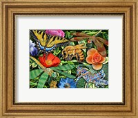Insects Fine Art Print