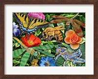 Insects Fine Art Print