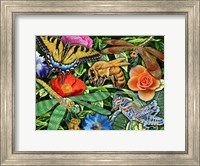 Insects Fine Art Print