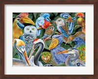 Birds of the World Fine Art Print