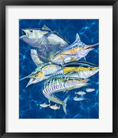 Gamefish Fine Art Print