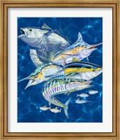 Gamefish Fine Art Print