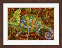 Chameleon Veiled Fine Art Print
