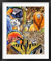 Collage Rainforest Animals Fine Art Print