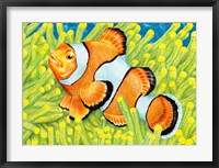 Clownfish Fine Art Print