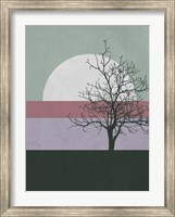 Evening Tree Fine Art Print