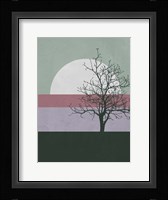 Evening Tree Fine Art Print