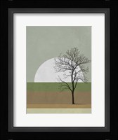 Spring Sunset Tree Fine Art Print