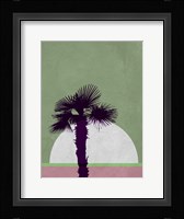 Desert Palm Tree Fine Art Print