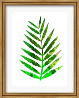 Tropical Leaf Fine Art Print