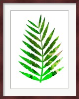 Tropical Leaf Fine Art Print
