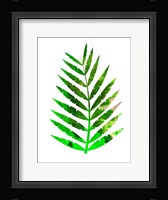 Tropical Leaf Fine Art Print