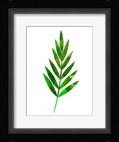 Tropical Leaf I Fine Art Print