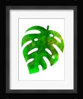 Tropical Monstera Leaf Fine Art Print