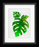Monstera Leafs Fine Art Print