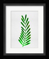 Tropical Leaf II Fine Art Print