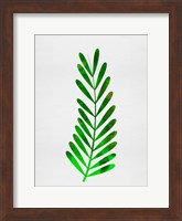 Tropical Leaf II Fine Art Print