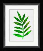 Tropical Leaf III Fine Art Print