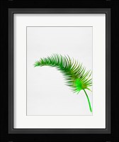 Lonely Tropical Leaf Fine Art Print