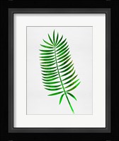 Lonely Tropical Leaf I Fine Art Print