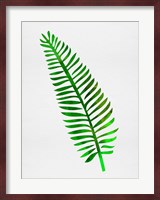 Lonely Tropical Leaf II Fine Art Print