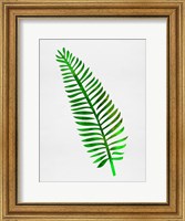 Lonely Tropical Leaf II Fine Art Print