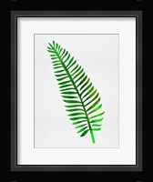 Lonely Tropical Leaf II Fine Art Print