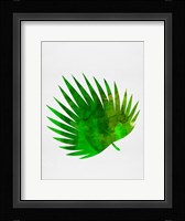 Tropical Chamaerops Fine Art Print