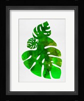 Tropical Monstera Leaves Fine Art Print