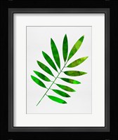 Lonely Leaf Fine Art Print