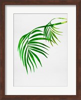 Palm Tree Leaves Fine Art Print