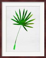 Tropical Chamaerops Leaf I Fine Art Print
