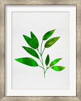 Leaf Branch Fine Art Print