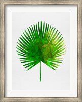 Tropical Chamaerops Leaf Fine Art Print