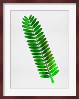 Leaf Branch Fine Art Print