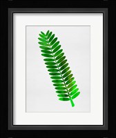 Leaf Branch Fine Art Print