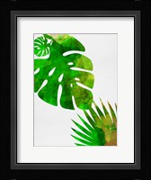 Tropical Monstera Fine Art Print