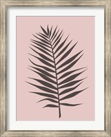 Blush Pink Tropical Leaf Fine Art Print