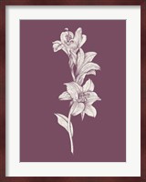Lily Purple Flower Fine Art Print