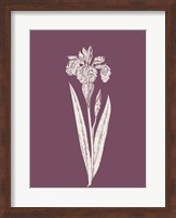 Iris Purple Flower Fine Art Print