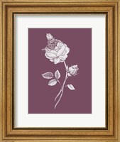 Rose Purple Flower Fine Art Print
