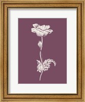 Poppy Purple Flower Fine Art Print