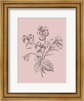Violet Blush Pink Flower Fine Art Print
