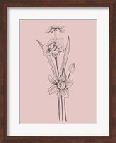 Narcissus Blush Pink Flower Fine Art Print