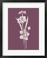 Narcissus Purple Flower Fine Art Print