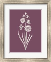 Hyacinth Purple Flower Fine Art Print