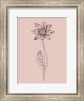 Dahlia Blush Pink Flower Fine Art Print