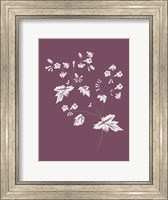 Phacelia Purple Flower Fine Art Print